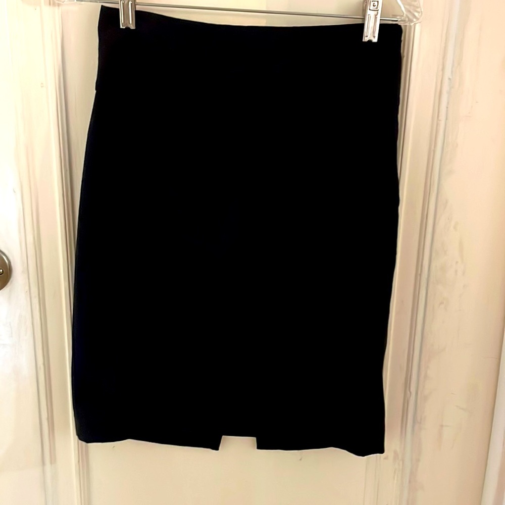 The Limited Ladies Pencil Skirt